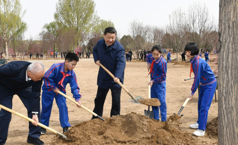 习近平：发扬中华民族爱树植树护树好传统 