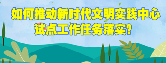 八问新时代文明实践 | 之八：如何推动试点工作任务落实？