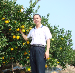湖南好人 ▎ 朱小金：三十载汗水精心滴灌，八万亩水果丰产富民