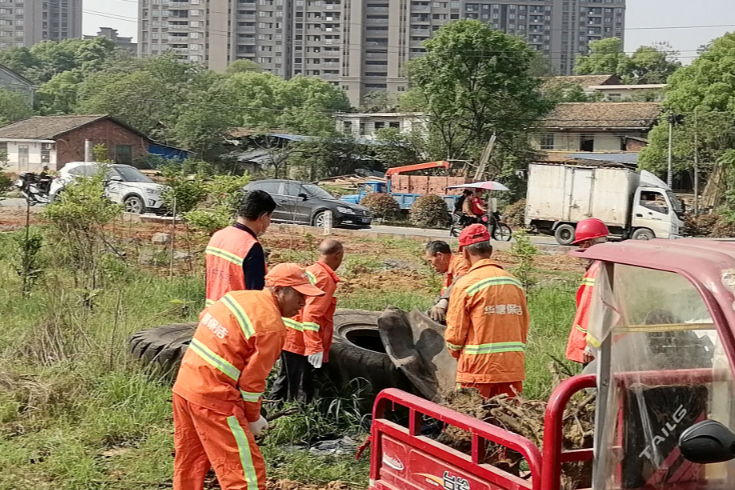 重拳出击整治乱象 协力提升人居环境