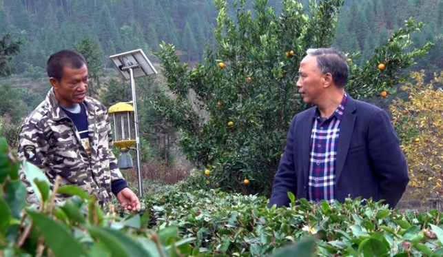 劳动模范  ▎ 金仁义：实干加巧干 争做群众贴心人
