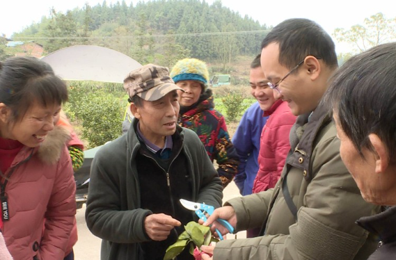“一户一产业工人”培养工程丨柑橘种植培训“送教上门”