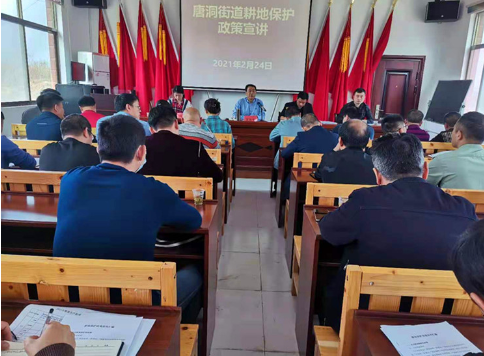唐洞街道：耕地保护宣讲进基层