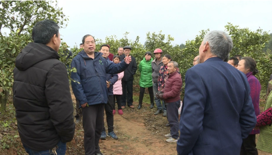“一户一产业工人”培养工程｜“保姆式”培训让果农尝甜头
