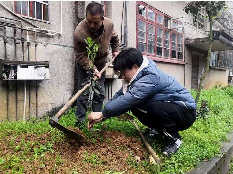 不负好春光！资兴各乡镇积极开展义务植树活动