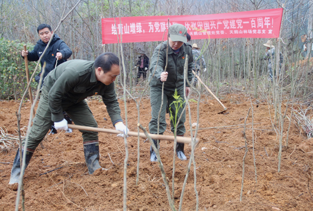 天鹅山国家森林公园管理处：给青山增绿 为党旗争辉