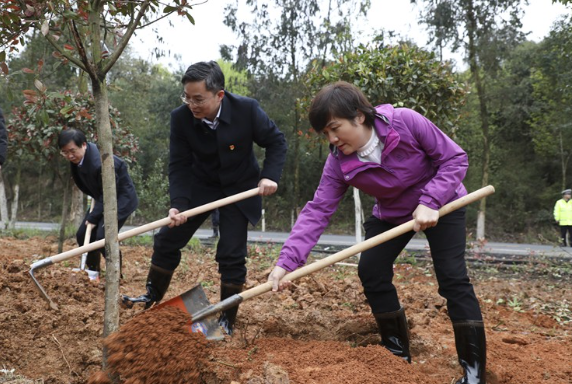 黄峥嵘 杨理诚等市领导参加义务植树活动