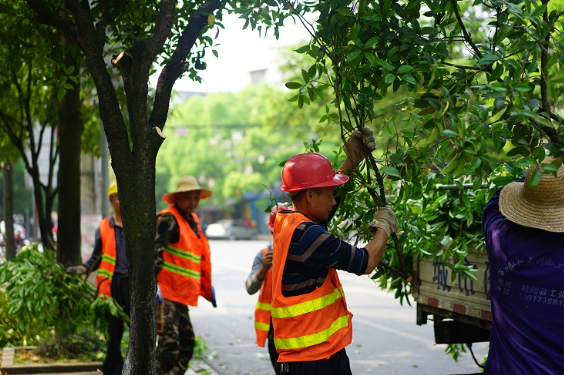 城市美容师扮靓城区环境