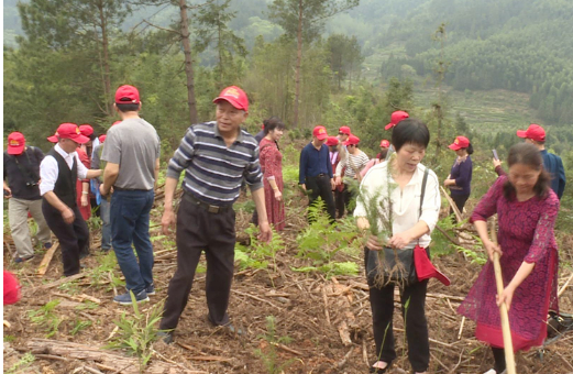 60名知青重温光辉岁月，感受美丽乡村