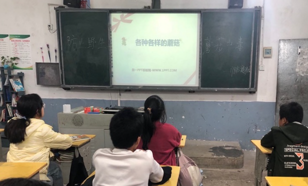 回龙山：小手拉大手 拒绝毒蘑菇