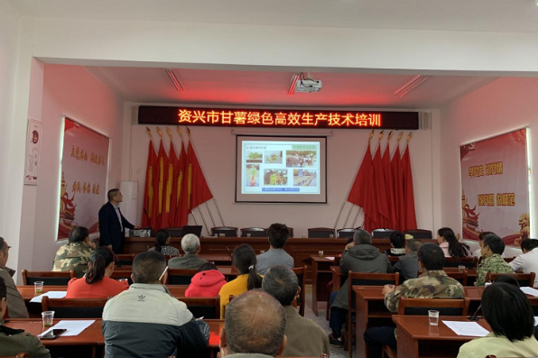 资兴举办“红薯高产栽培与病虫害防治技术”培训班