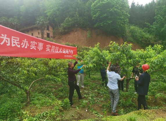 汤溪镇支部农场为群众办实事