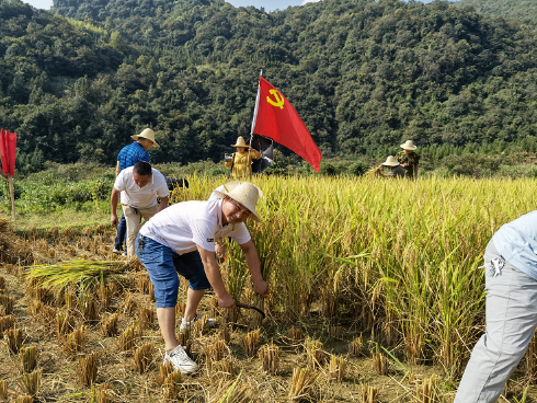 资兴市民政局开展“我为群众办实事”活动