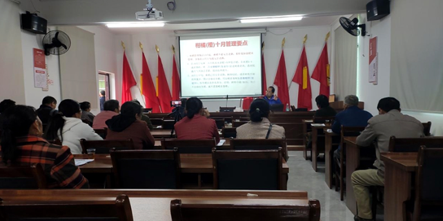 资兴市秋季冰糖橙栽培技术培训班开班