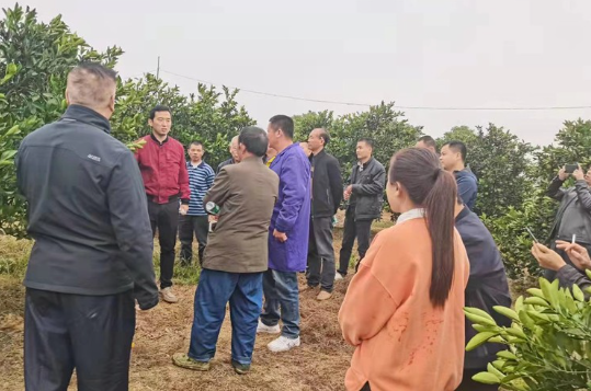 资兴市回龙山瑶族乡“零距离”开展技术培训