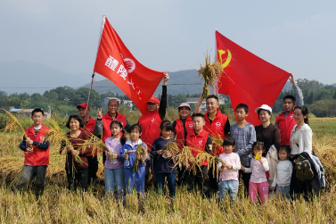 【文明实践在醴陵】党旗飘扬  下乡助农
