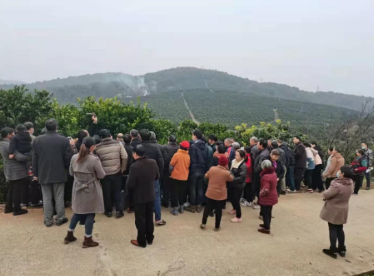 资兴市冰糖橙冬季栽培管理技术培训班开班