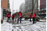 【文明实践在醴陵】以雪为令，青年出列！醴陵市开展“铲雪除冰”青年志愿服务活动！