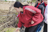 【文明实践在醴陵】孩童相唤志愿行，清洁净化环境美