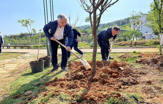 东江湖风景名胜区管理处为东江湖添绿