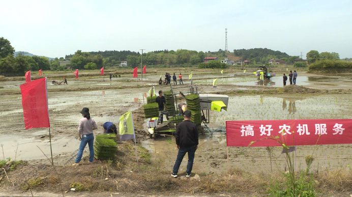 我市农技课搬到田间地头