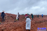 东江库区管理局送果树栽培技术下乡