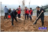 携手增添新绿 共建美丽资兴