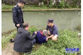 纵身一跃 民警快速救下落水老人