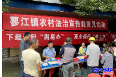 蓼江镇：“典”亮生活 与民同行